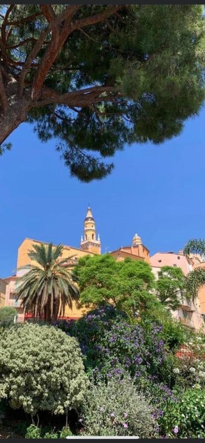 Menton Centre Vue Imprenable Sur Mer Et Jardin Bioves ภายนอก รูปภาพ